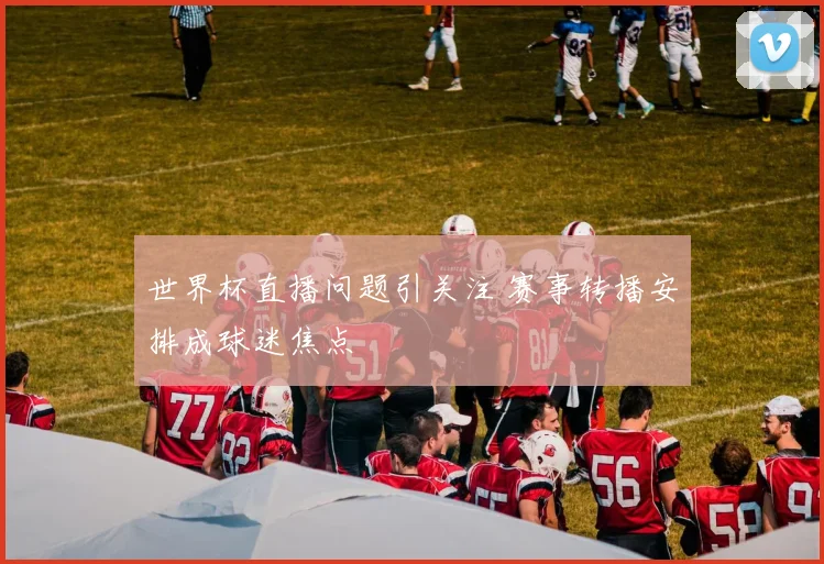 世界杯直播问题引关注 赛事转播安排成球迷焦点