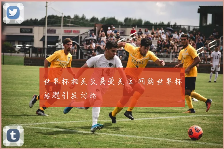 世界杯相关交易受关注 网购世界杯话题引发讨论