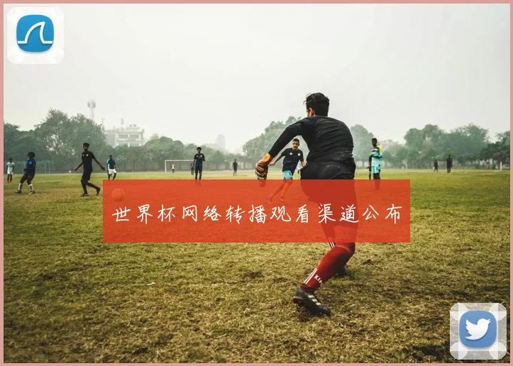 世界杯网络转播观看渠道公布